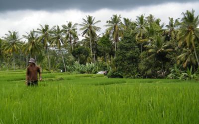 Bali L’isola Felice e Sorridente