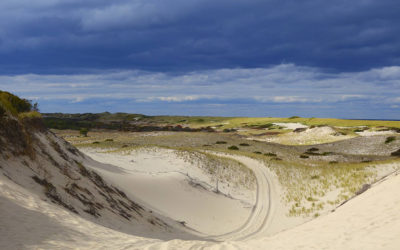 Cape Cod, un parco nazionale affacciato sull’Atlantico