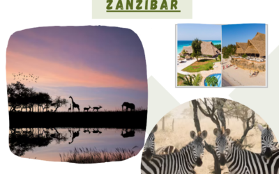 PROPOSTE AFRICA MADAGASCAR TUNISIA ALGERIA SUDAFRICA TANZANIA