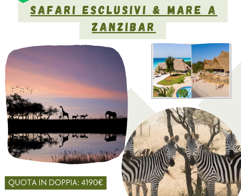 PROPOSTE AFRICA MADAGASCAR TUNISIA ALGERIA SUDAFRICA TANZANIA
